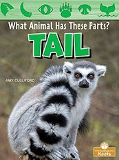 Cover for Amy Culliford · Tail (Paperback Book) (2023)