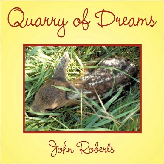 Cover for John Roberts · Quarry of Dreams (Paperback Book) (2011)