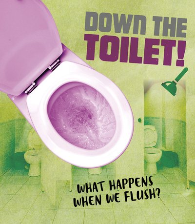 Cover for Riley Flynn · Down the Toilet!: What happens when we flush? - The Story of Sanitation (Pocketbok) (2020)