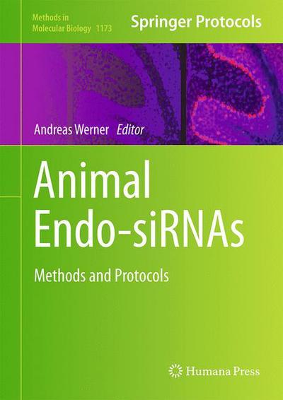 Cover for Andreas Werner · Animal Endo-SiRNAs: Methods and Protocols - Methods in Molecular Biology (Hardcover Book) [2014 edition] (2014)