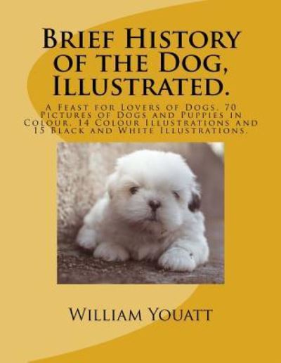 Cover for William Youatt · Brief History of the Dog, Illustrated. (Taschenbuch) (2017)