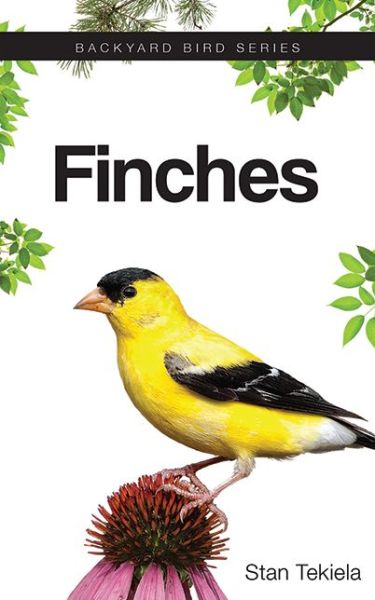 Finches - Backyard Bird Series - Stan Tekiela - Kirjat - Adventure Publications, Incorporated - 9781591935308 - maanantai 20. huhtikuuta 2015