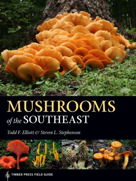 Cover for Todd F. Elliott · Mushrooms of the Southeast (Gebundenes Buch) (2018)