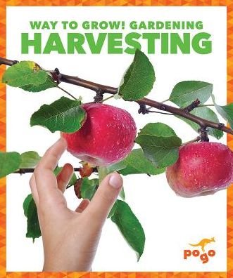 Cover for Rebecca Pettiford · Harvesting - Way to Grow! Gardening (Inbunden Bok) (2019)