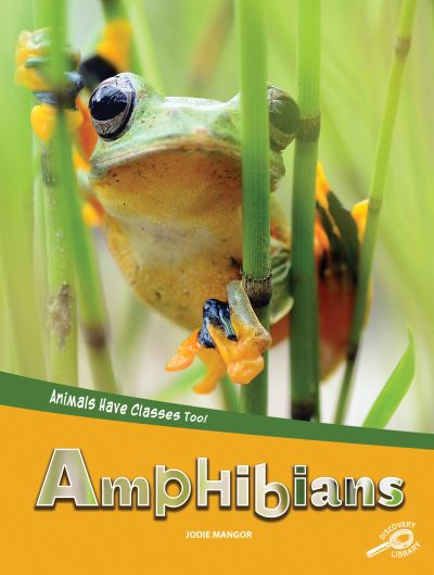 Cover for Jodie Mangor · Amphibians (Book) (2019)