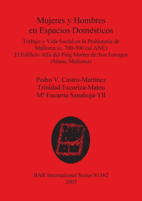 Cover for Pedro V. Castro Marti?nez · Mujeres y hombres en espacios dome?sticos (Book) (2003)