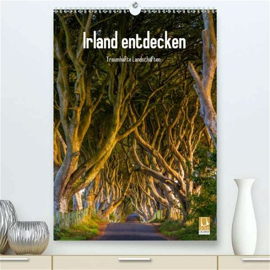 Cover for Ringer · Irland entdecken (Premium-Kalend (Bog)