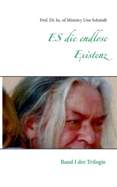 Cover for Schmidt, Dr Uwe (University of Bonn) · ES die endlose Existenz: Band 1 der Trilogie (Paperback Book) [German edition] (2014)