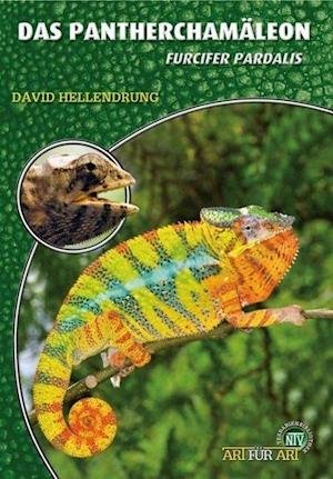 David Hellendrung · Das Pantherchamäleon (Paperback Book) (2013)