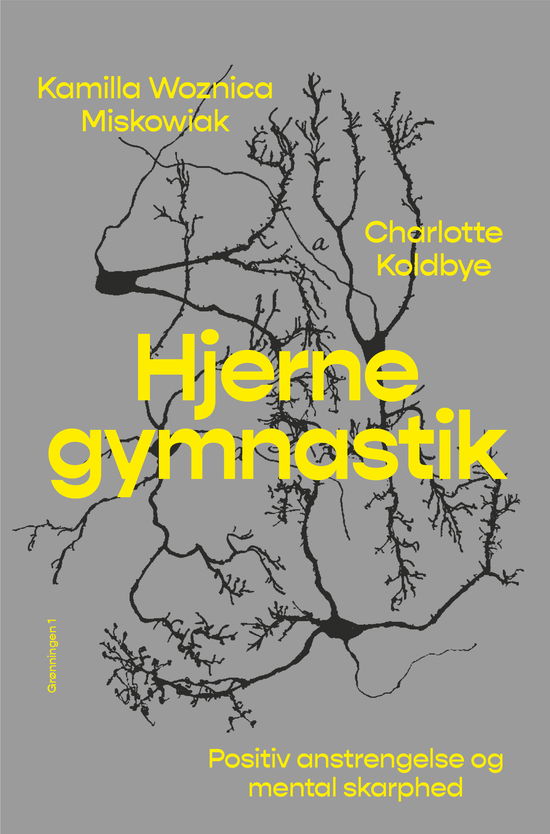 Charlotte Koldbye Kamilla Miskowiak · Hjernegymnastik (Bound Book) [1. wydanie] (2024)