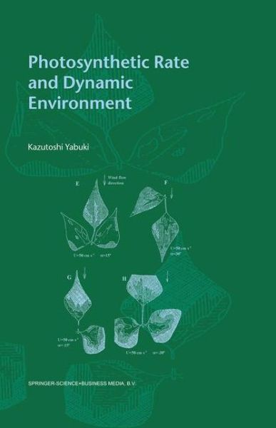 Kazutoshi Yabuki · Photosynthetic Rate and Dynamic Environment (Paperback Book) [Softcover reprint of hardcover 1st ed. 2004 edition] (2010)