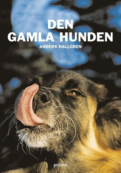Cover for Anders Hallgren · Den gamla hunden : om den äldre hundens fysiska och psykiska välbefinnande (Map) (2004)
