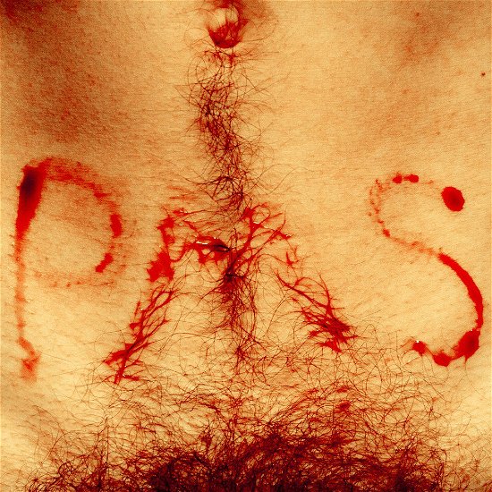 Cover for Bisse · PMS (LP) (2015)