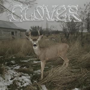 Cover for Sleepers Bell · Clover (LP) (2025)