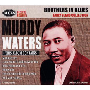 Early Years Collection-20 Tracks - Muddy Waters - Musiikki -  - 0690978395309 - 