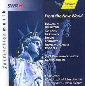 Cover for Swr Rundfunkorchester Kaisersl · From The New World *s* (CD) (2001)