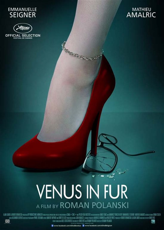 Cover for Venus In Fur (DVD) (2014)