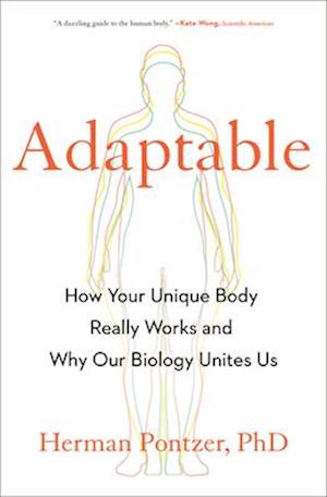 Cover for Herman Pontzer Phd · Adaptable (Book) (2025)