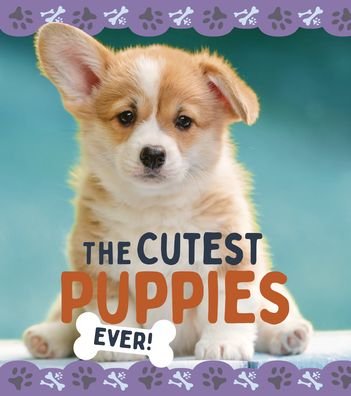 Cover for Nancy Dickmann · The Cutest Puppies (Hardcover Book) (2022)