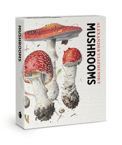 Mushrooms Knowledge Cards - - Books - Pomegranate Europe Ltd - 9781087510309 - January 15, 2025