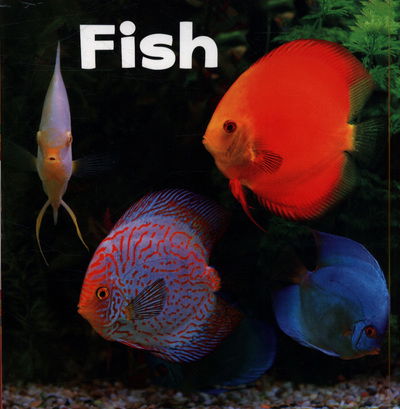 Cover for Lisa J. Amstutz · Fish - Our Pets (Paperback Book) (2019)