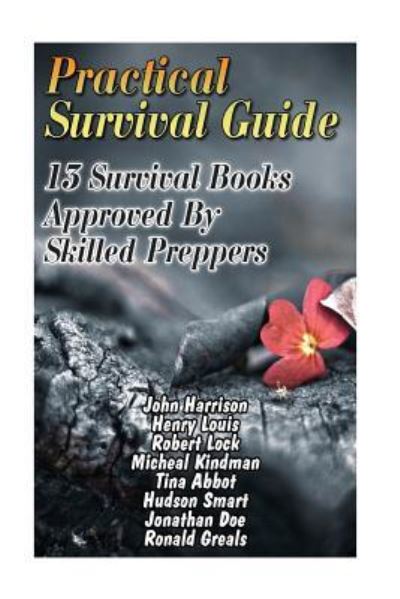 Cover for Robert Lock · Practical Survival Guide (Paperback Book) (2017)