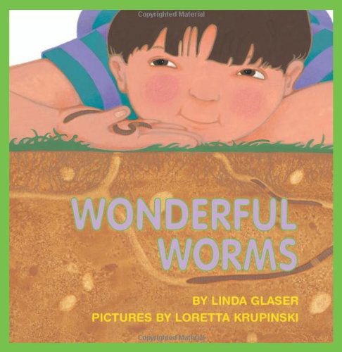 Wonderful Worms - Linda Glaser - Książki - Millbrook Press - 9781562947309 - 1 sierpnia 1992