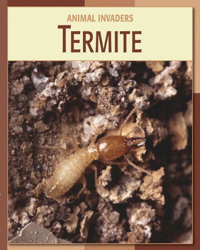 Cover for Susan Heinrichs Gray · Termite (Animal Invaders) (Hardcover Book) (2009)
