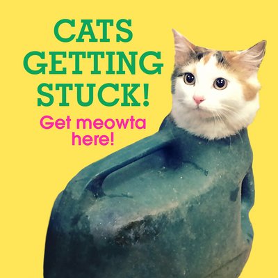 Cover for No Author Details · Cats Getting Stuck! (Hardcover Book) (2017)