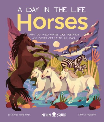 Cover for Carly Anne York · Horses (A Day in the Life): What Do Wild Horses like Mustangs and Ponies Get Up To All Day? - A Day in the Life (Hardcover Book) (2022)