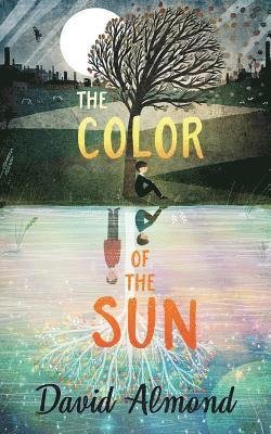 Cover for David Almond · Color of the Sun the (Audiobook (CD)) (2019)