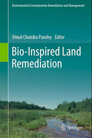 Cover for Bio-Inspired Land Remediation - Environmental Contamination Remediation and Management (Hardcover Book) [2023 edition] (2023)