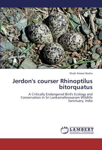 Cover for Shaik Ameer Basha · Jerdon's Courser Rhinoptilus Bitorquatus: a Critically Endangered Bird's Ecology and Conservation in Sri Lankamalleswaram Wildlife Sanctuary, India (Paperback Book) (2012)