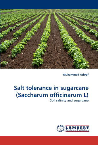 Cover for Muhammad Ashraf · Salt Tolerance in Sugarcane (Saccharum Officinarum L): Soil Salinity and Sugarcane (Paperback Book) (2010)