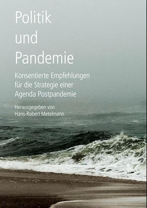 Cover for Hans-Robert Metelmann · Politik und Pandemie (Hardcover bog) (2021)