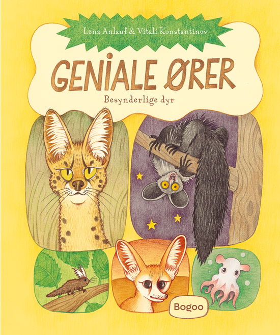 Cover for Lena Anlauf og Vitali Konstantinov · Geniale ører (Hardcover Book) [1st edition] (2025)