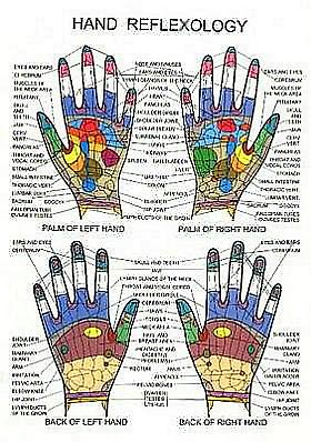 Hand Reflexology -- A2 - Jan van Baarle - Merchandise - Jan Van Baarle - 9789079887309 - 1. februar 1997