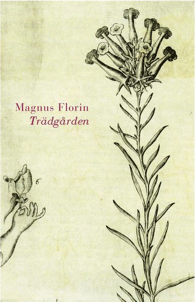 Trädgården - Magnus Florin - Books - Albert Bonniers Förlag - 9789100129309 - July 6, 2012