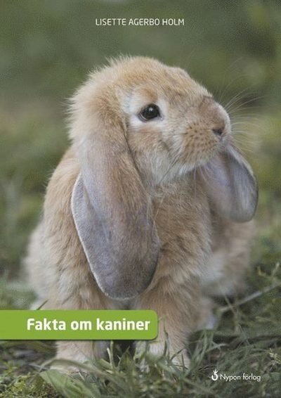 Cover for Lisette Agerbo Holm · Fakta om ...: Fakta om kaniner (Bound Book) (2017)
