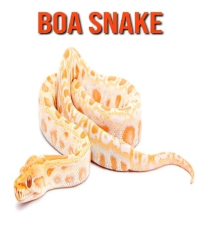 Boa Snake - William Doyle - Books - Independently Published - 9798694316309 - October 6, 2020