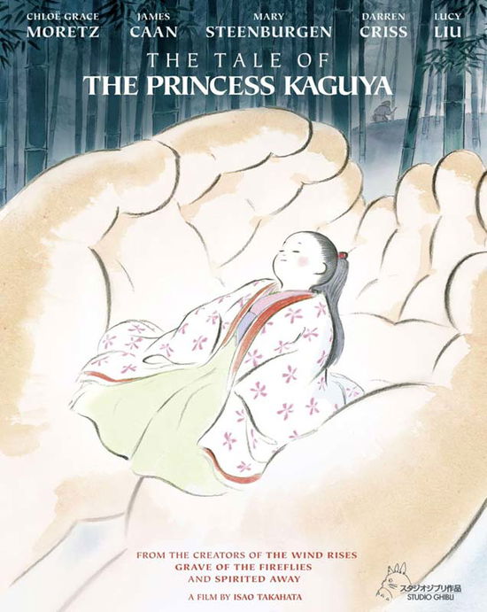 Cover for Tale of the Princess Kaguya (DVD) (2015)