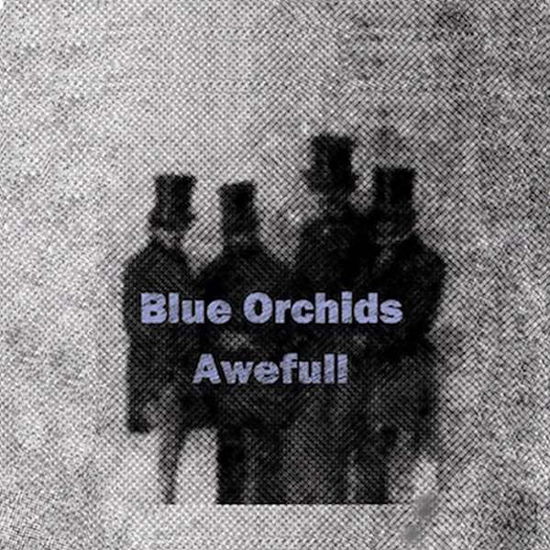 Awefull - Blue Orchids - Musikk - TINY GLOBAL PRODUCTIONS - 0608766982310 - 28. oktober 2016