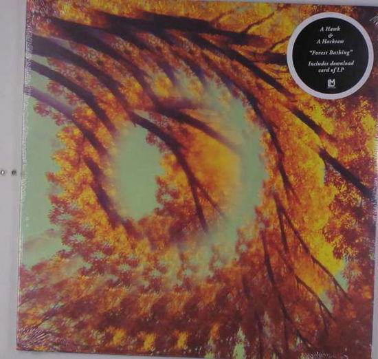 Forest Bathing - A Hawk And A Hacksaw - Música - L.M. DUPLI-CATION - 0647603400310 - 13 de abril de 2018