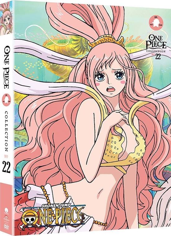 One Piece: Collection 22 - DVD - Movies - ANIME, ANIMATION, COMEDY, FOREIGN, ACTIO - 0704400025310 - September 25, 2018