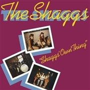 Cover for The Shaggs · Shaggs' Own Thing (yellow / maroon Swirl) (LP) [Coloured edition] (2020)