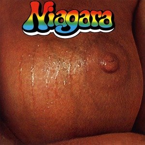 Cover for Niagara (LP) (2010)