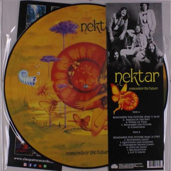 Cover for Nektar · Remember the Future (LP) [Picture Disc edition] (2020)
