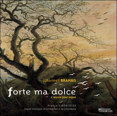 Cover for J. Brahms · Forte Ma Dolce:l'oeuvre Pour Orgue (CD) (2009)