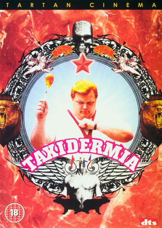 Cover for Taxidermia (DVD) (2013)