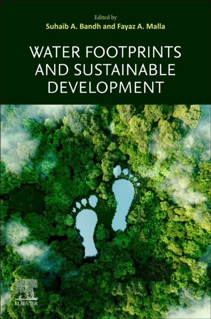 Cover for Water Footprints and Sustainable Development - Current Directions in Water Scarcity Research (Paperback Book) (2024)